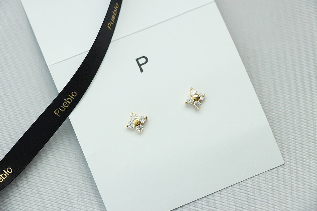 Stud Earrings gift set